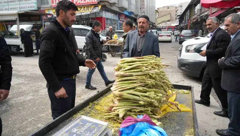 Dağlıklardan Gelen Şeker: Kanser ve Mide Hastalıklarına İyi Geldiği İddia Ediliyor