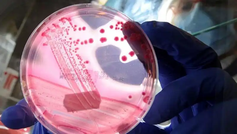 Yeni Bir Keşif: AP2A1 Proteini ve Yaşlanmayı Unutturan Etkileri