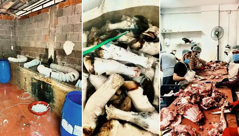 Adana'da Yüzlerce Kilo Paça Ele Geçirildi, İnsan Sağlığı Tehlikede!