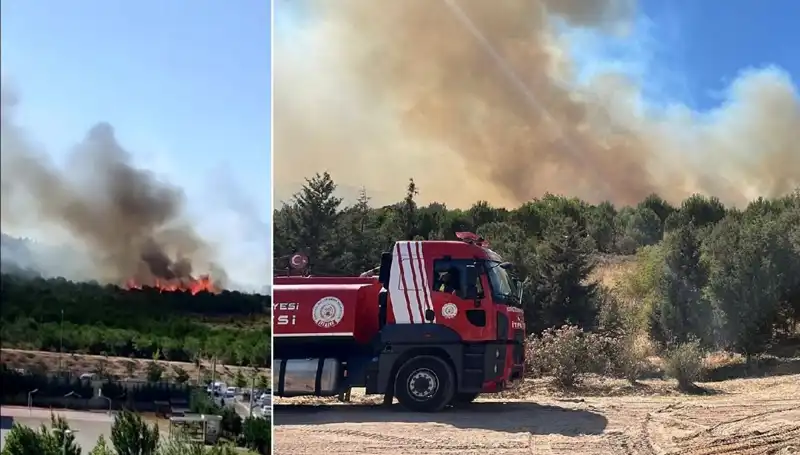 Gebze’de Yangın Alarmı: Orman Yangını Büyüyor, Ekipler Seferber Oldu!