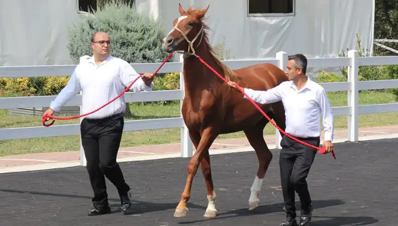 Rekor Kıran "Taşkın Kral" Rıdvan, Su Sporlarının Geleceğine Işık Tutuyor