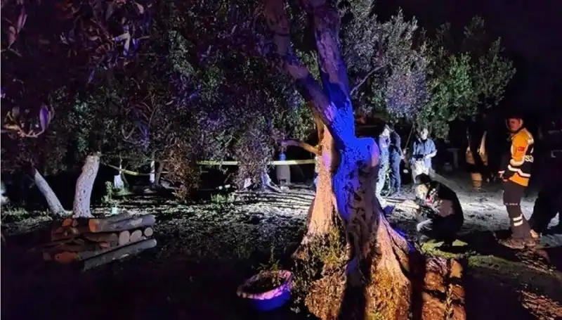 Çiftlikteki Baltalı Vahşete İlk Tutuklama: Olayın Detayları Şoke Ediyor!