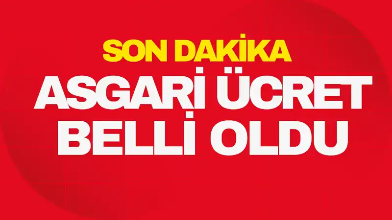 Yeni Asgari Ücret Açıklandı: Çalışanları Bekleyen Yüzde X'lik Artış!