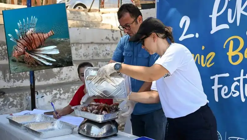 Antalya'da Zorlu Mücadele: İstilacı Aslan Balığı Avlama Yarışması Başlıyor