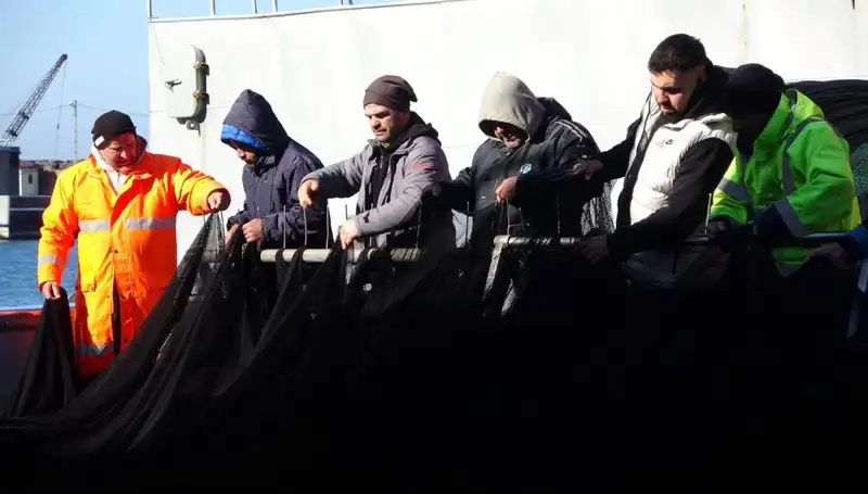 Denizlerde Hamsi Stoku Tükendi: Balıkçılar Erken Veda Etti