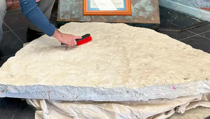 200 Milyon Yıllık Dinozor Ayak Izleri Okul Bahçesinde Bulundu!