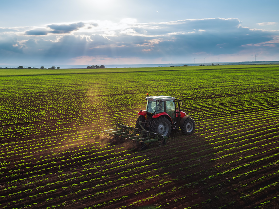 Ekonomik Büyüme Tarımı Nasıl Olumsuz Etkiliyor?